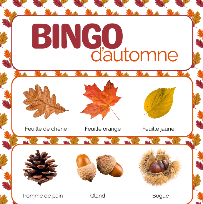 bingo de l'automne, 9 choses à retrouver dans la nature